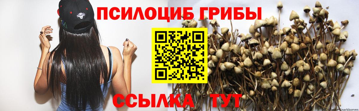 Псилоцибиновые грибы прущие грибы Азнакаево